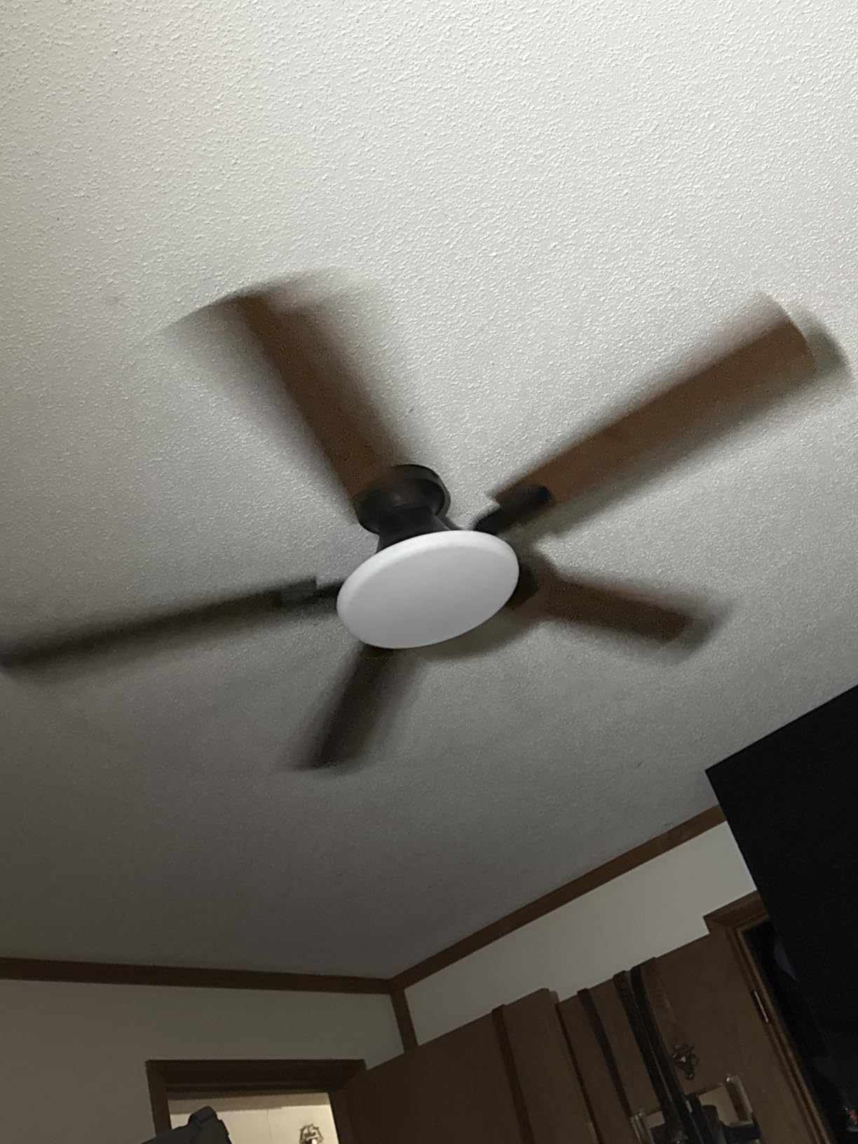 LEDIARY 52 Inch Flush Mount Ceiling Fans with Lights, Remote & APP Control | Bright Light, 3CCT, Memory Function, Timer, Reversible Blade, Quiet DC Motor, Damp-Rated, Living Room, Bedroom, Covered Patio customer photo 1