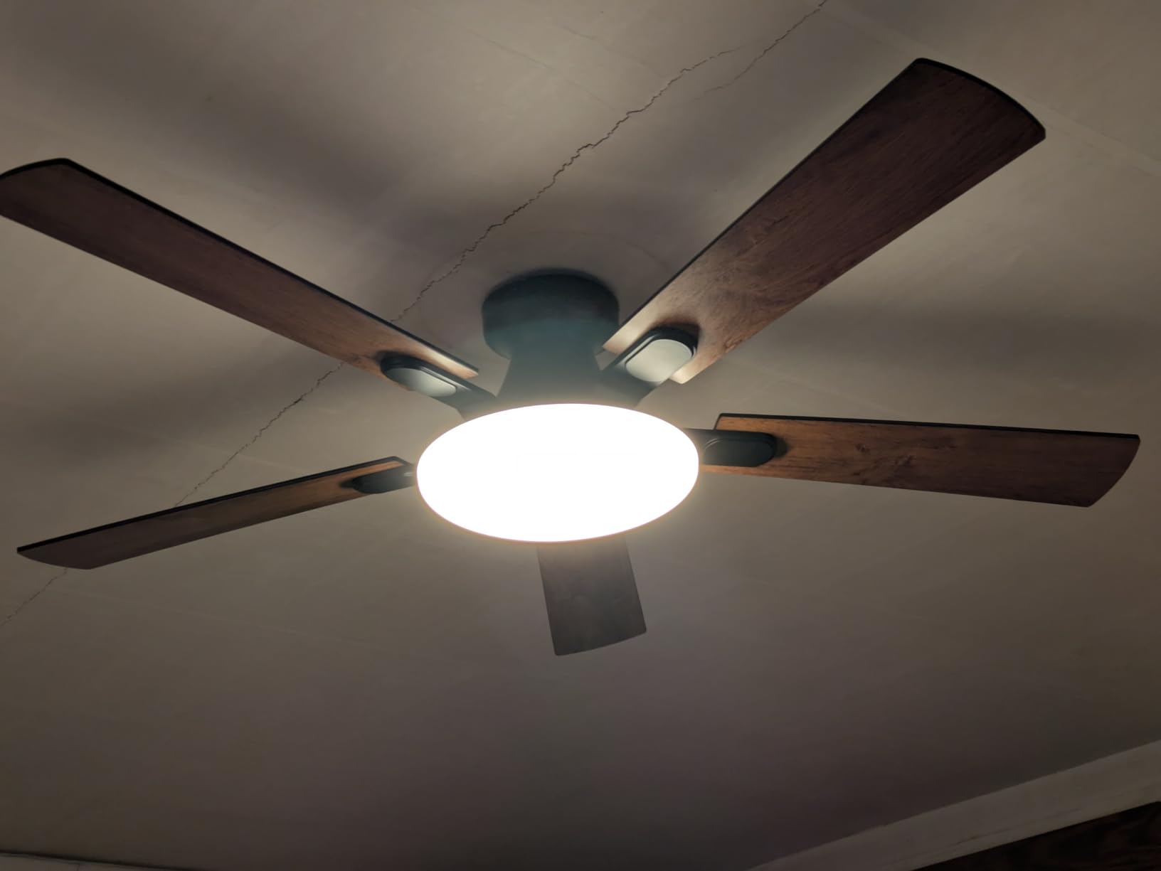 LEDIARY 52 Inch Flush Mount Ceiling Fans with Lights, Remote & APP Control | Bright Light, 3CCT, Memory Function, Timer, Reversible Blade, Quiet DC Motor, Damp-Rated, Living Room, Bedroom, Covered Patio customer photo 2