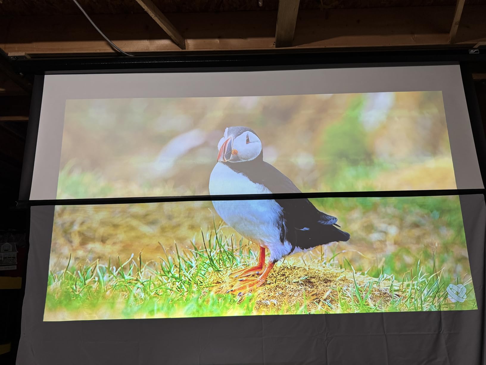 ALR Projector Screen Material for Standard Throw - for DIY Frame or Wall Mounted - High Contrast 70% ALR High Brightness 2.7X Gain - 100 inch 16:9 Gray Screen - by SilverMagic customer photo 1