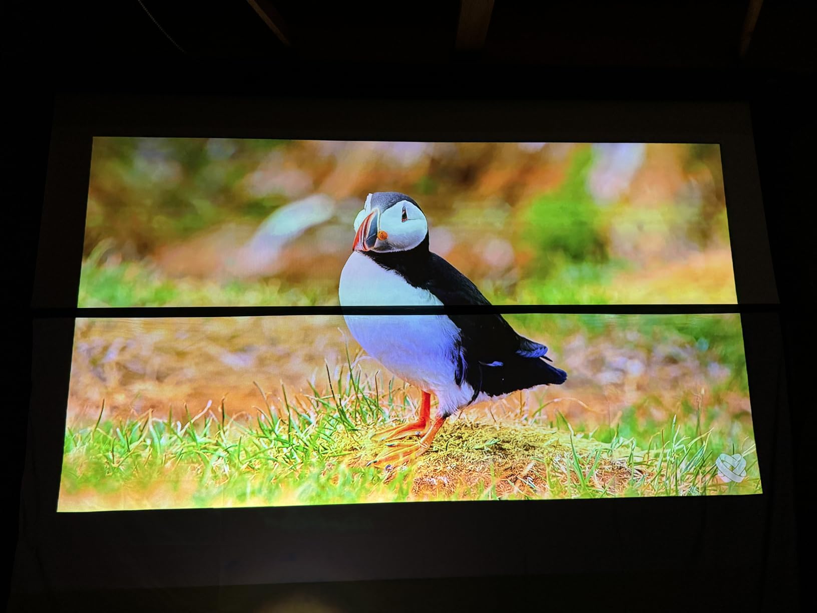 ALR Projector Screen Material for Standard Throw - for DIY Frame or Wall Mounted - High Contrast 70% ALR High Brightness 2.7X Gain - 100 inch 16:9 Gray Screen - by SilverMagic customer photo 2