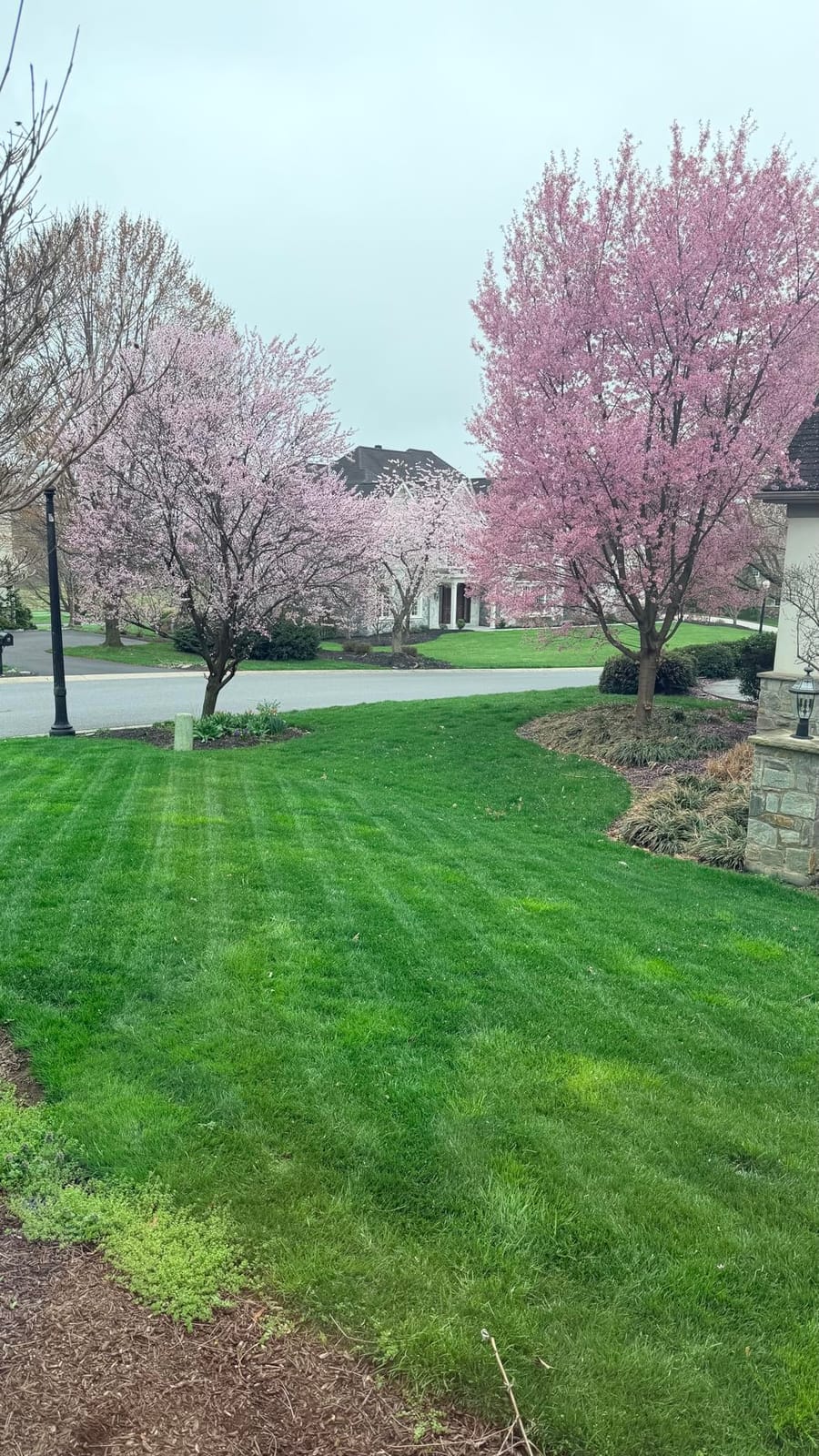 ECOVACS Goat A2000 LiDAR PRO Robot Lawn Mower, Dual LiDAR Navigation customer photo 2