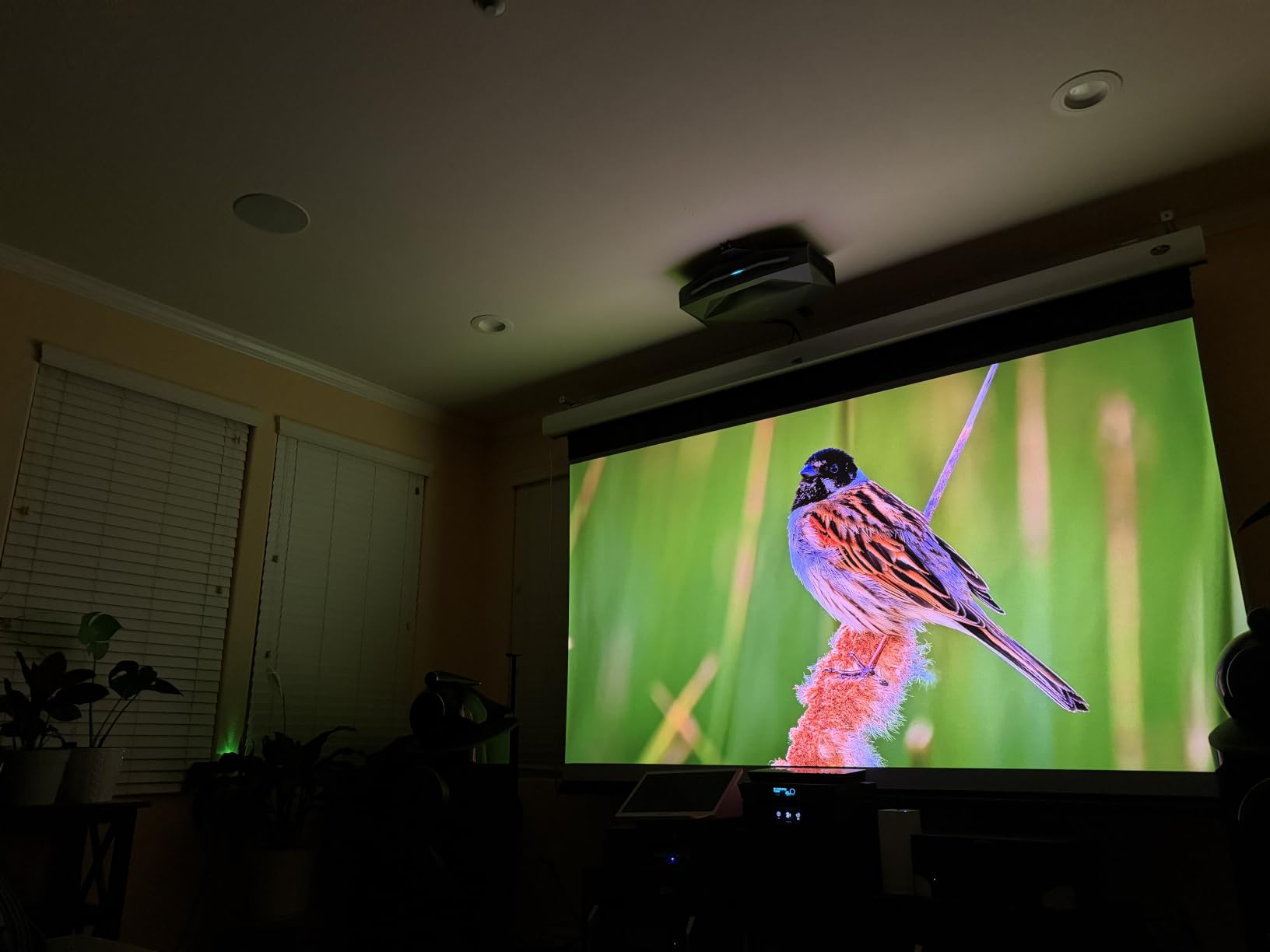 AWOL VISION Aetherion Max 4K Projector, Triple Laser UST Projector, 3300 ISO Lumens, Daytime Viewing, PixelLock 200