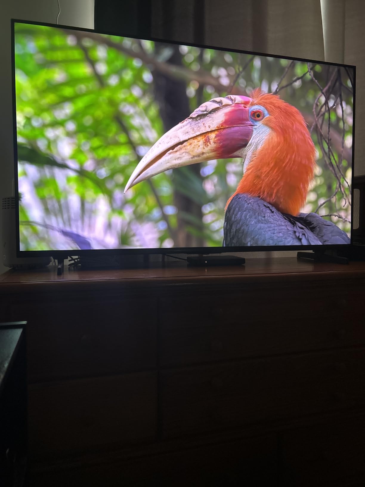 Hisense 100