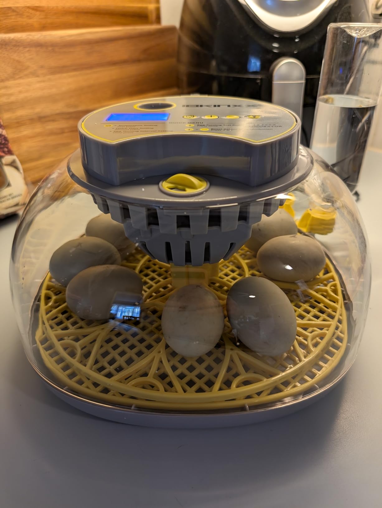 IBKINXX Incubator for Hatching Eggs-18 Egg Capacity, Newly Upgraded Automatic Egg Turner, Temperature & Humidity Control, 360° Viewing for Chicken, Duck and Quail Eggs (Black) customer photo 2