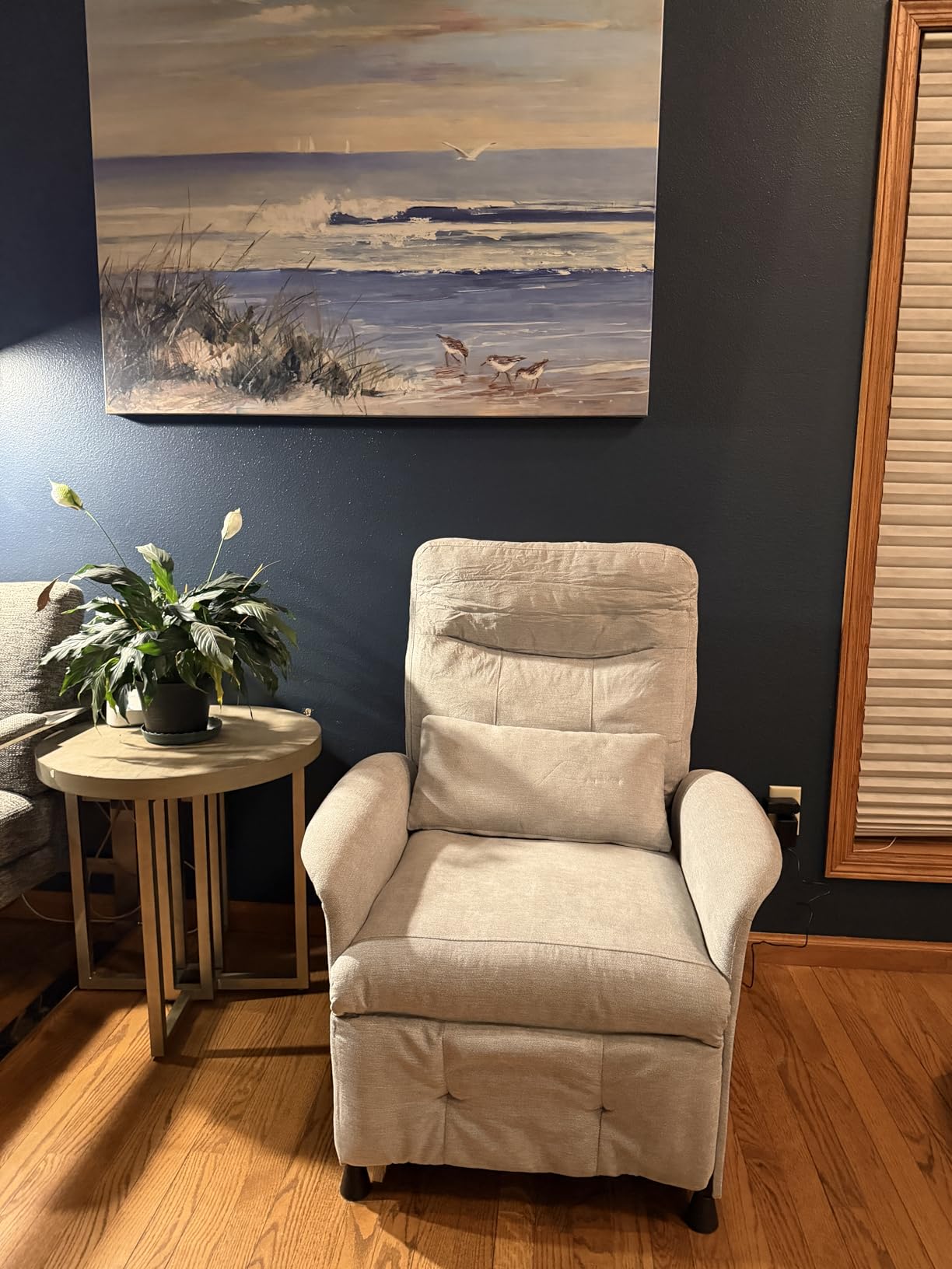 Power Recliner Chair with Heat & Massage, Electric Recliner for Elderly, Reclining Sofa with Remote Control, 3 Side Pockets, Easy Assembly Sleeper for Living Room Home Theater, Soft Fabric Light Grey customer photo 2