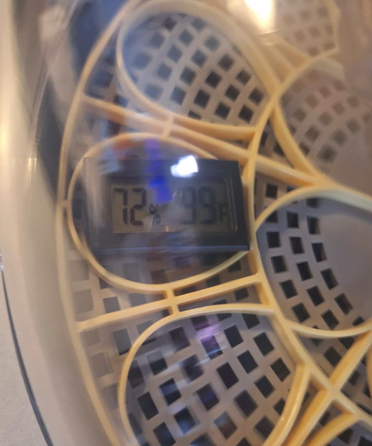 Incubators for Hatching Eggs, 56 Eggs Incubator with Egg Candler, Auto Egg Turner, Temp & Humidity Control, Hatch Day,360° Viewing for Chicken,Duck,Quail Eggs,Ideal for Farm,School and Lab,Blue&Yellow customer photo 2