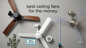best ceiling fans for the money