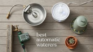 best automatic waterers