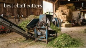 best chaff cutters