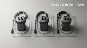 best canister filters