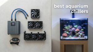 best aquarium chillers