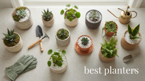 best planters