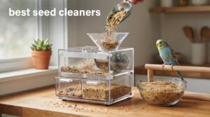 best seed cleaners