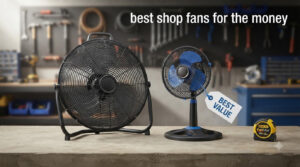 best shop fans for the money