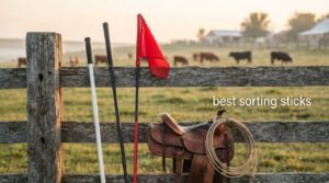 best sorting sticks