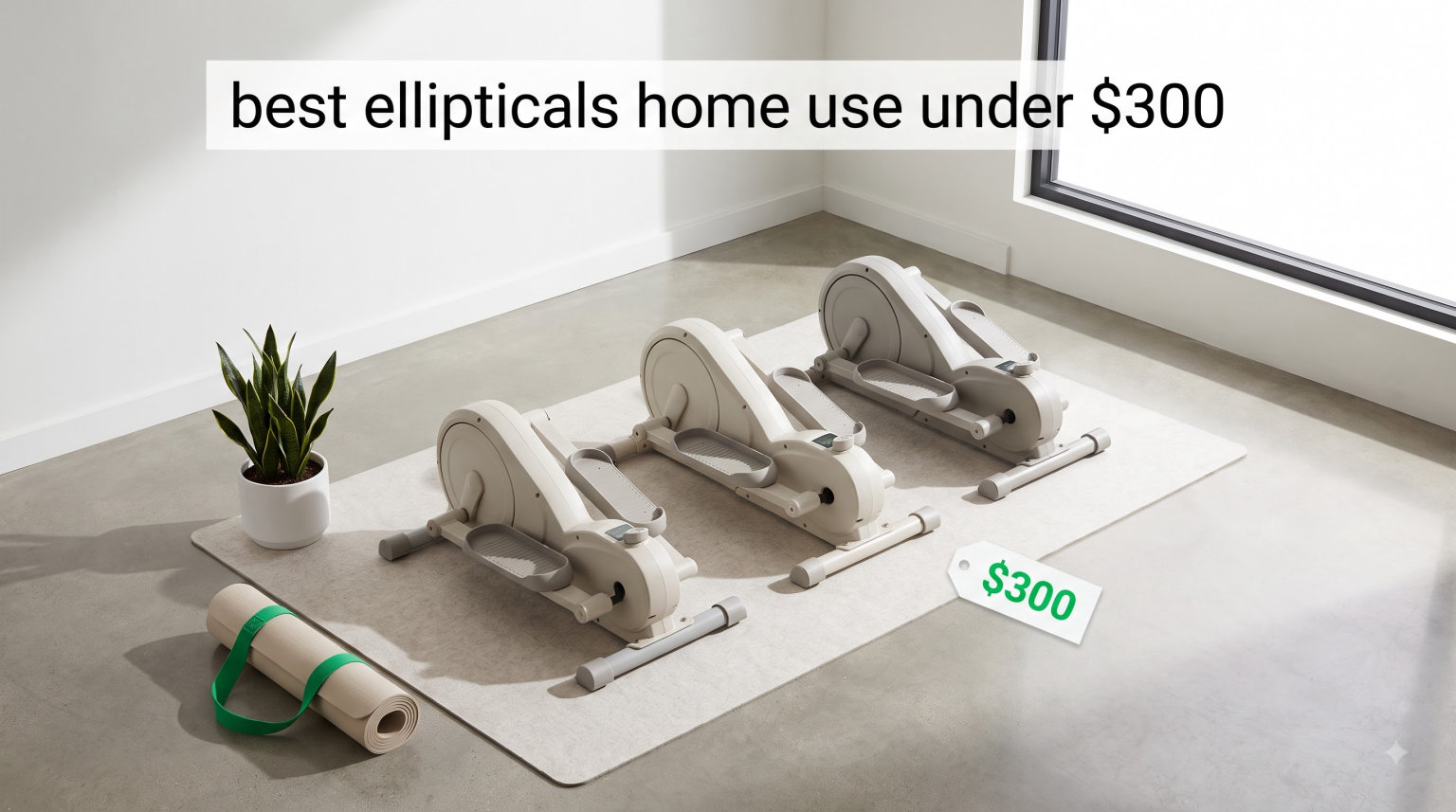 best ellipticals home use under $300