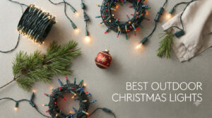 best outdoor christmas lights