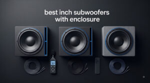 best 10 inch subwoofers with enclosure