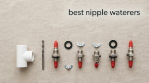 best nipple waterers