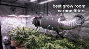 best grow room carbon filters