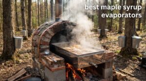 best maple syrup evaporators