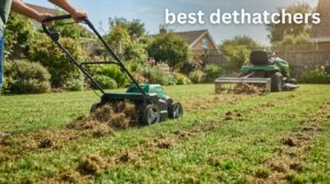 best dethatchers