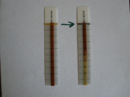 AquaChek Salt Test Strip Titrators for Pools - Salt Water Pool Test Strips for Sodium Chloride - Quick and Accurate Results - Professional Water Quality Testing Kit (10 Strips) customer photo 1