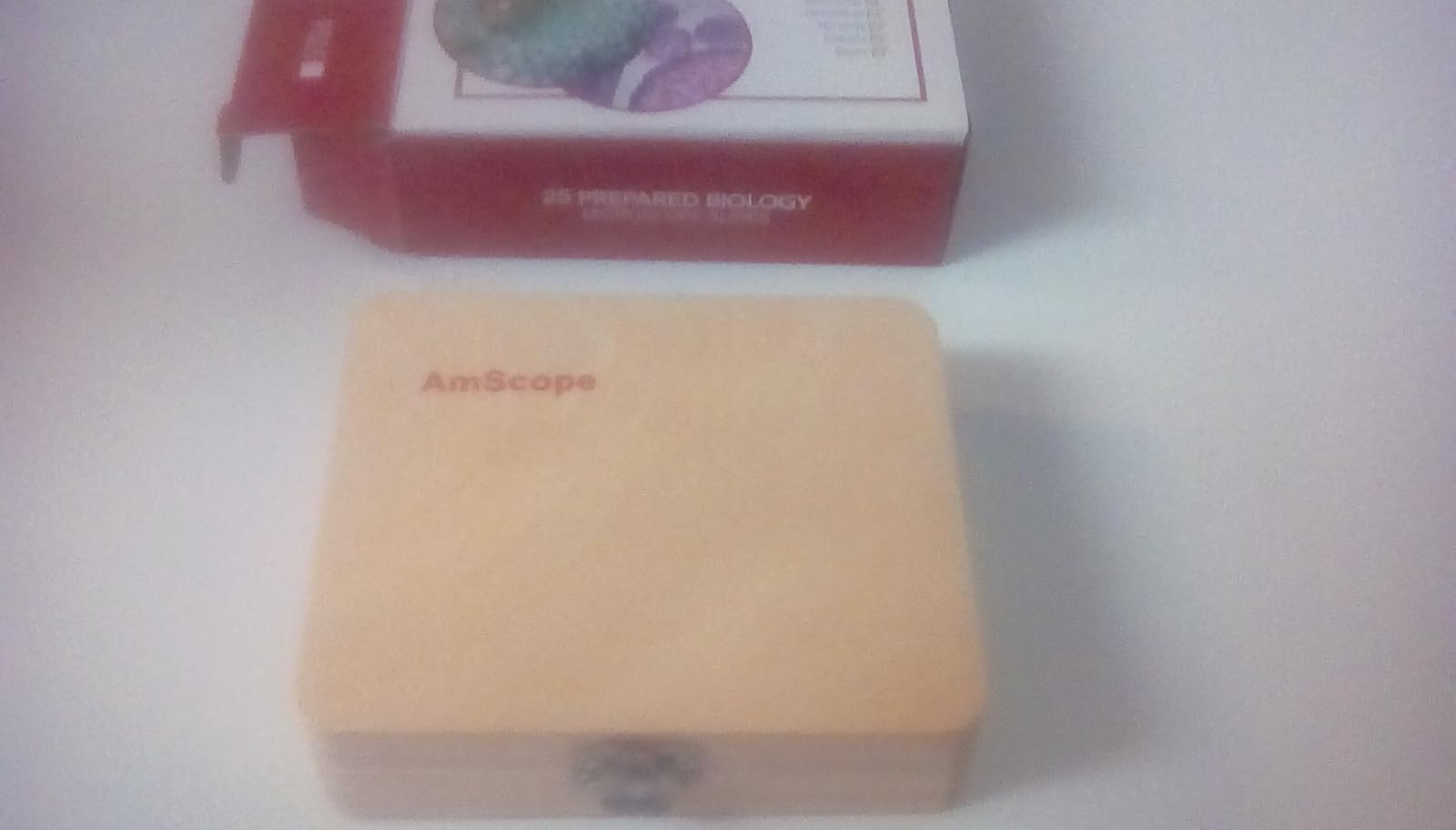 AmScope PS25 Prepared Microscope Slide Set for Basic Biological Science Education, 25 Slides, Includes Fitted Wooden Case, Brown customer photo 1