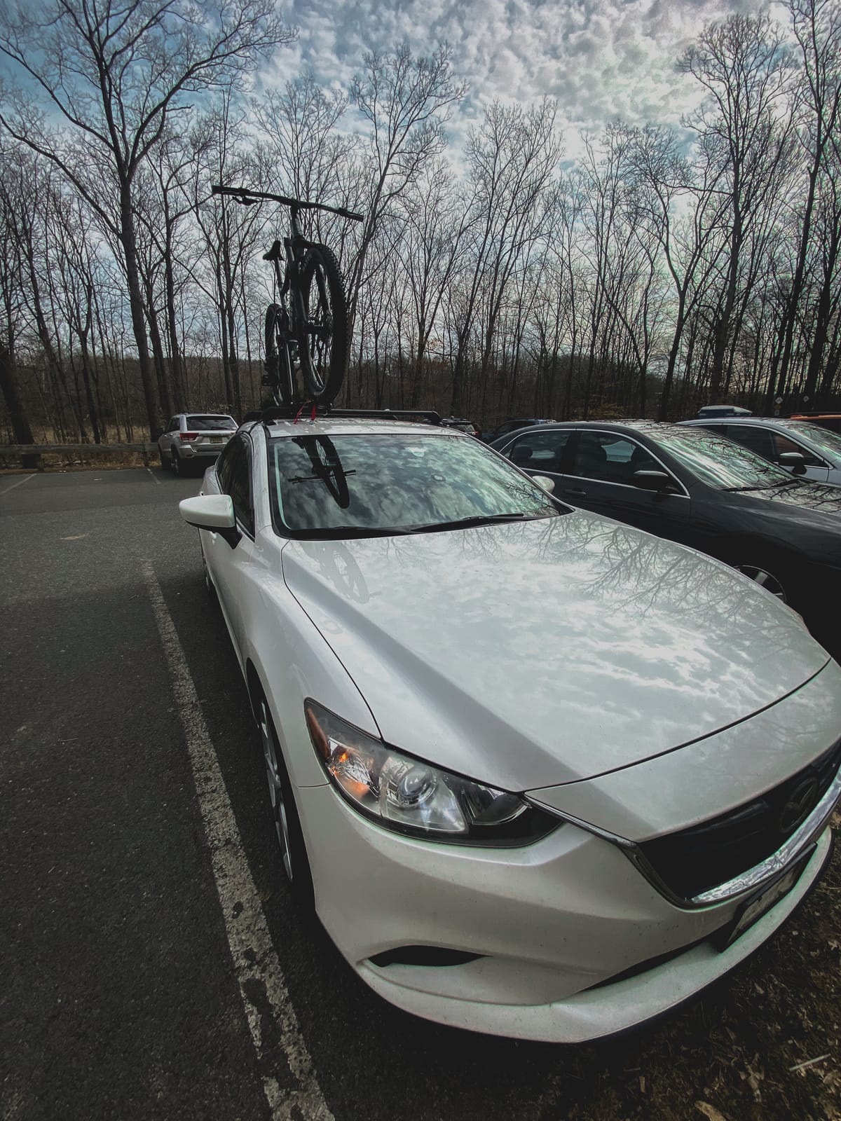 Roof Bicycle Rack for Car, Frame Mount, 25 lb Cap, 1 Bike, Elevate Outdoor customer photo 1