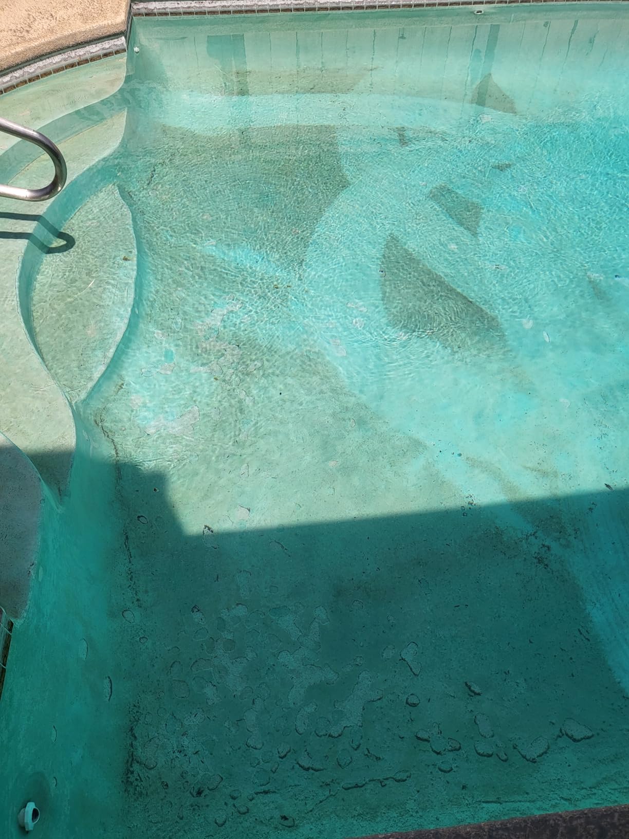 Pentair K60430 Kreepy Krauly Kruiser Automatic Inground Pool Cleaner customer photo 1