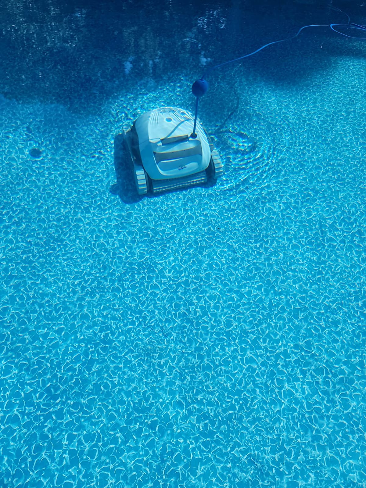 Dolphin (2026 Model) Nautilus AG Automatic Robotic Pool Vacuum Cleaner, Active Scrubber Brush, Top Load Filters Access, Ideal for Above-Ground Pools up to 33 FT in Length customer photo 1
