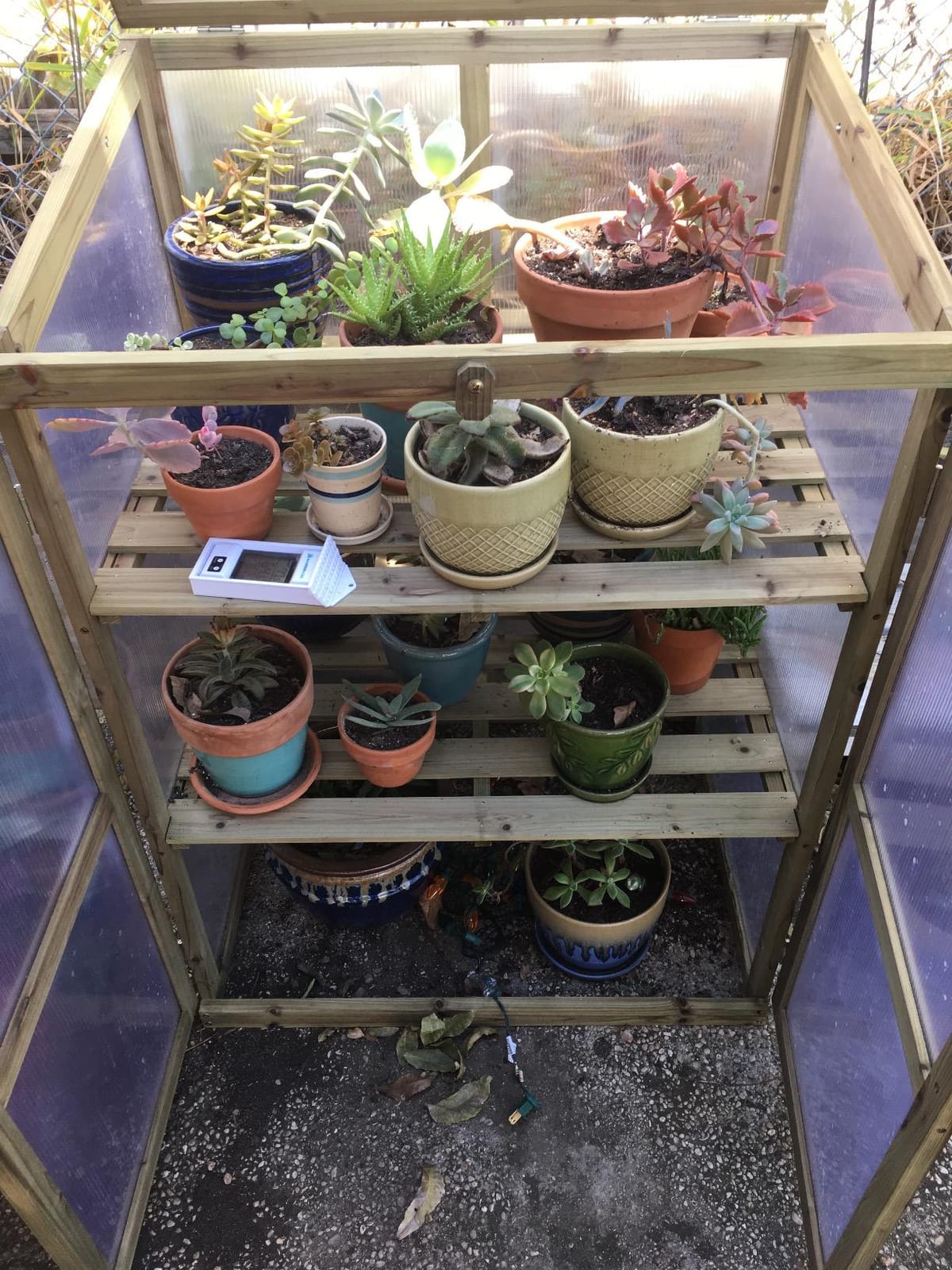 GIANTEX Wood Cold Frame with Flip-Top Roof, Mini Greenhouse 37''×25''×16'' customer photo 2