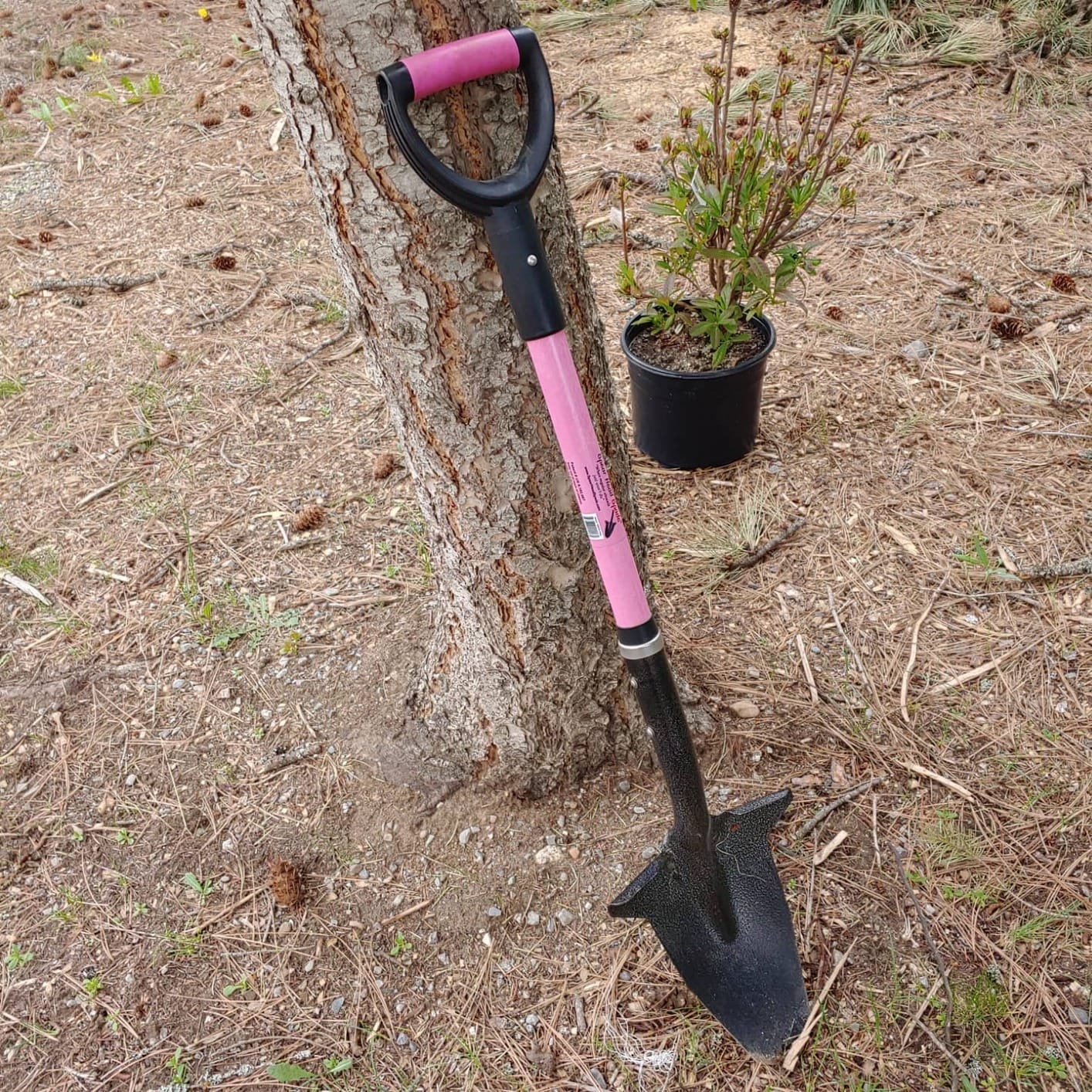 Spear Head Spade SHFD3 40