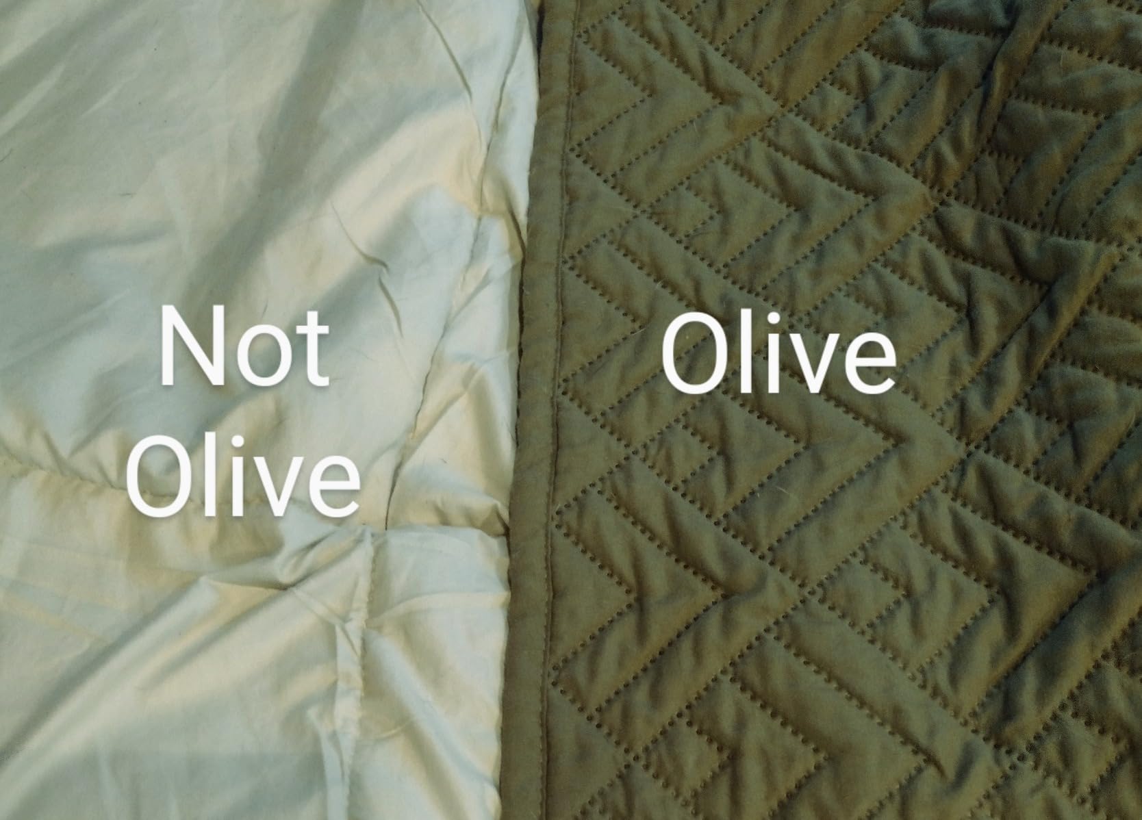 Beckham Hotel Collection Full/Queen Size Comforter - 1600 Series Down Alternative Home Bedding & Duvet Insert - Cream customer photo 2