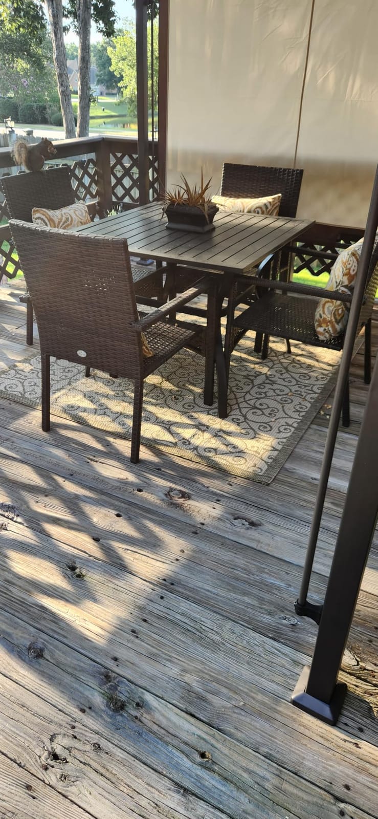 JONATHAN Y Vintage Filigree Indoor Outdoor Area Rug 5X8 Black/Khaki, Madrid Textured Weave for Backyard, Patio, Porch, Easy-Cleaning, High Traffic, Pet-Friendly, Non-Shedding (SMB107A-5) customer photo 1