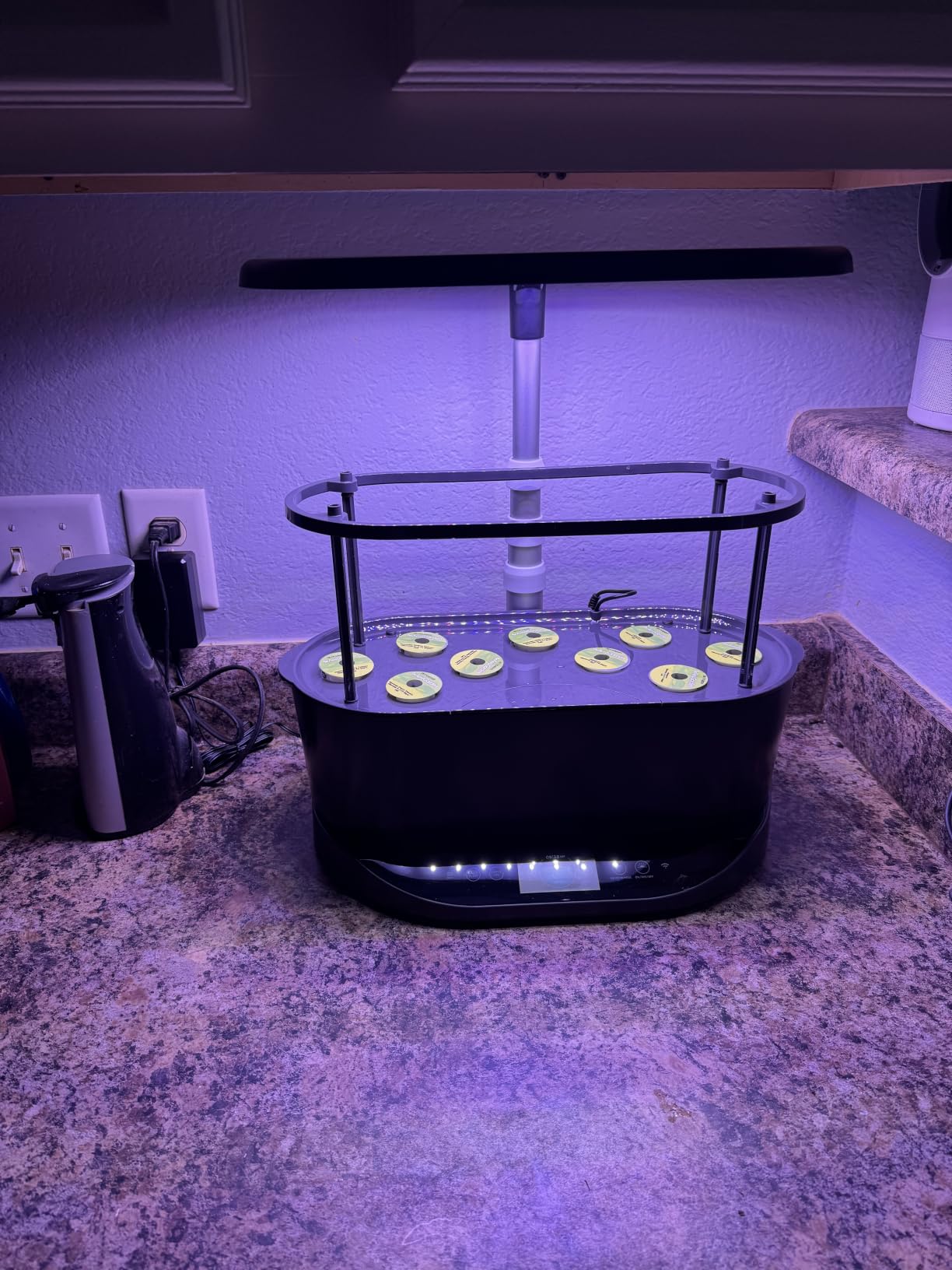 AeroGarden Bounty, White customer photo 1