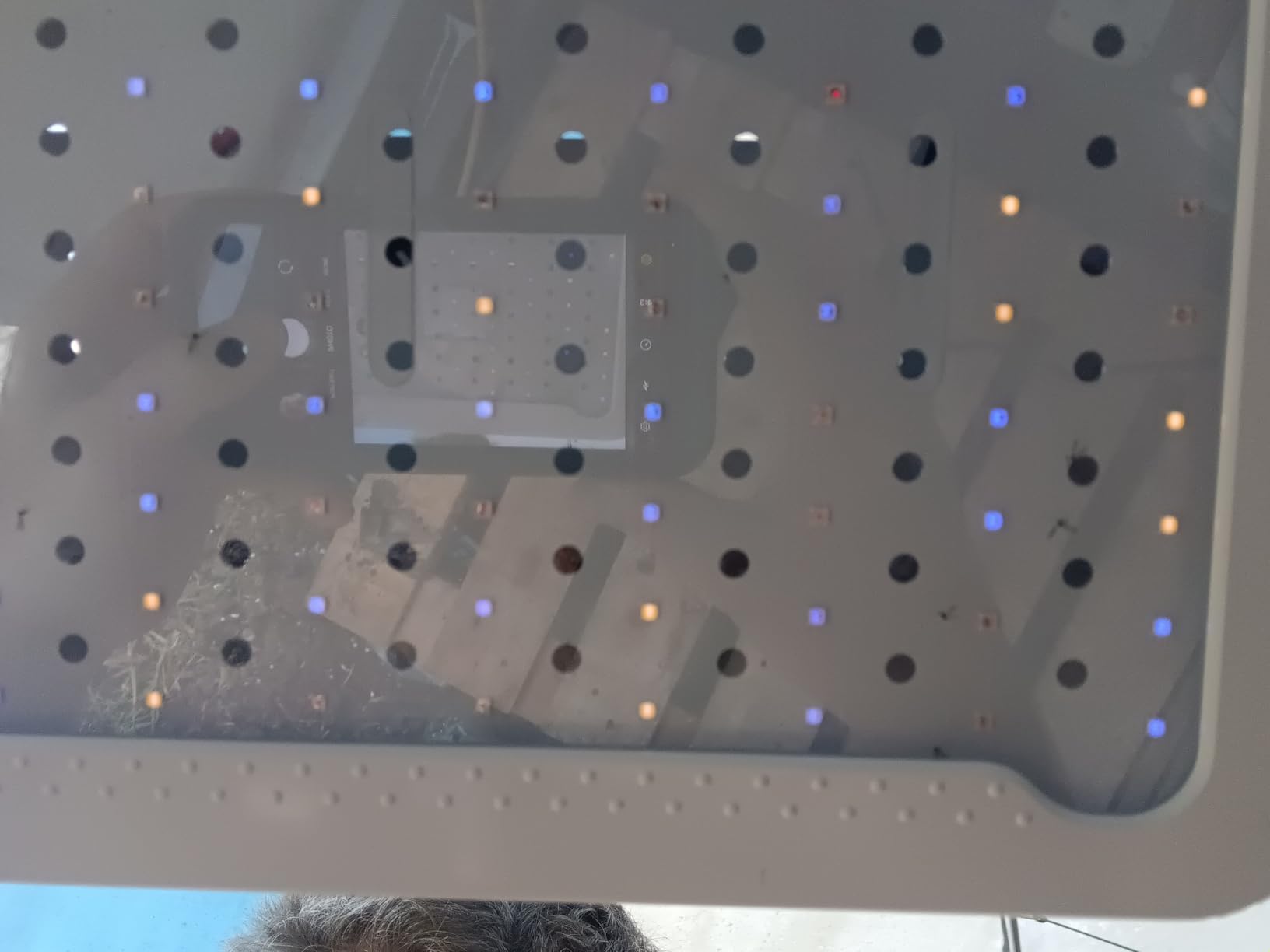 Beelux 1000w LED Grow Light for Indoor Plants Full Spectrum, Upgrade Dual Chips and Dual Switch Plant Grow Lights for Seed Starting Veg and Flower Greenhouse (Actual Power 100W=1000W HPS) customer photo 2
