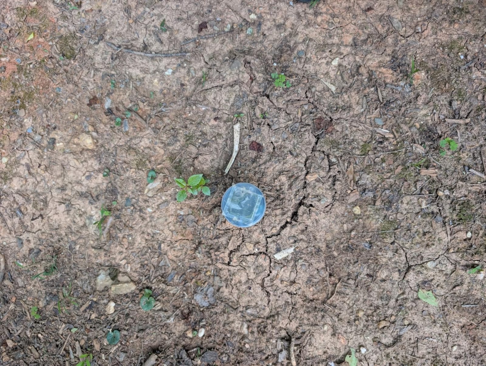Gopher Repellent Ultrasonic Solar Powered - Mole Repellent Stakes Outdoor Pet Safe - Groundhog Repeller Snake Rodent Gopher Spikes Chaser - Sonic Mole Deterrent Devices (2) customer photo 1