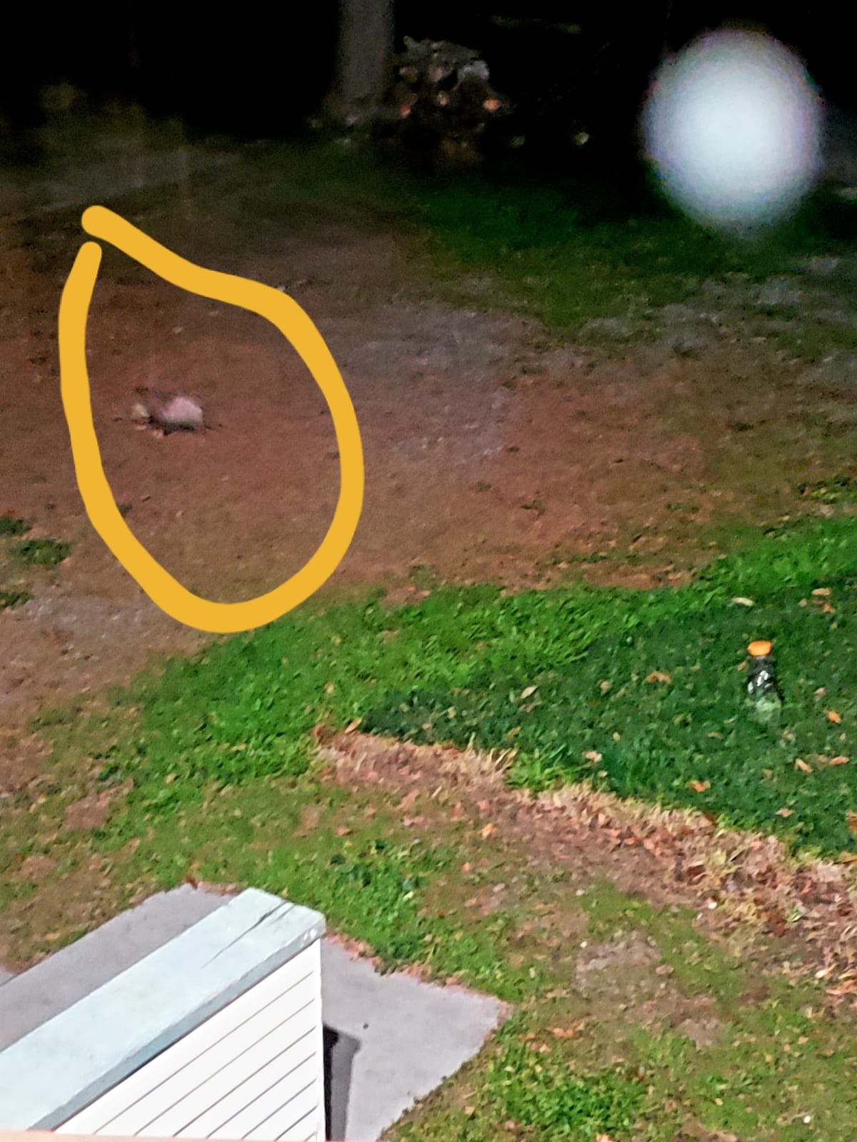Gopher Repellent Ultrasonic Solar Powered - Mole Repellent Stakes Outdoor Pet Safe - Groundhog Repeller Snake Rodent Gopher Spikes Chaser - Sonic Mole Deterrent Devices (2) customer photo 2
