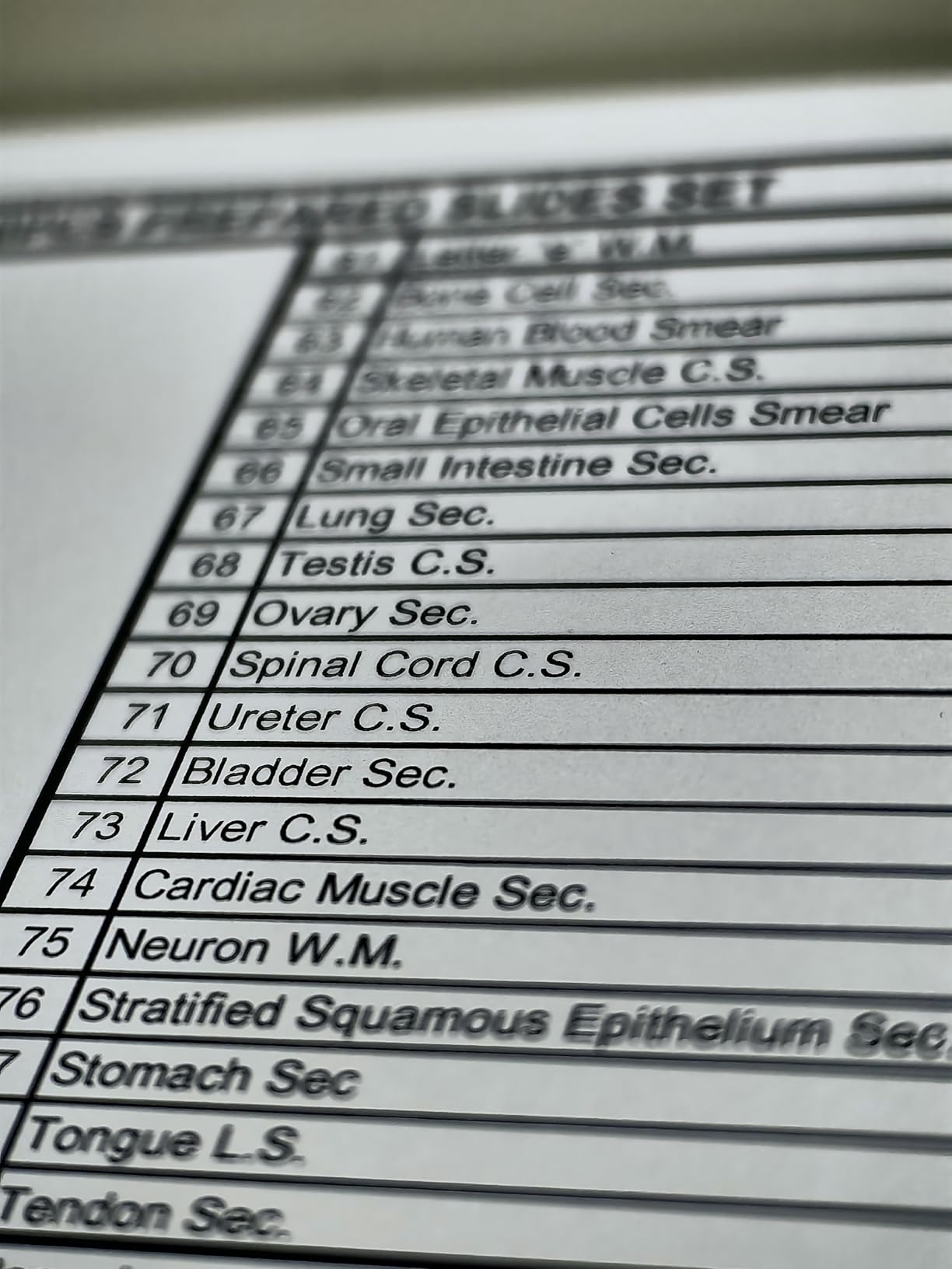 120 Microscope Slides with Specimens for Kids: Prepared Slides for Science customer photo 2