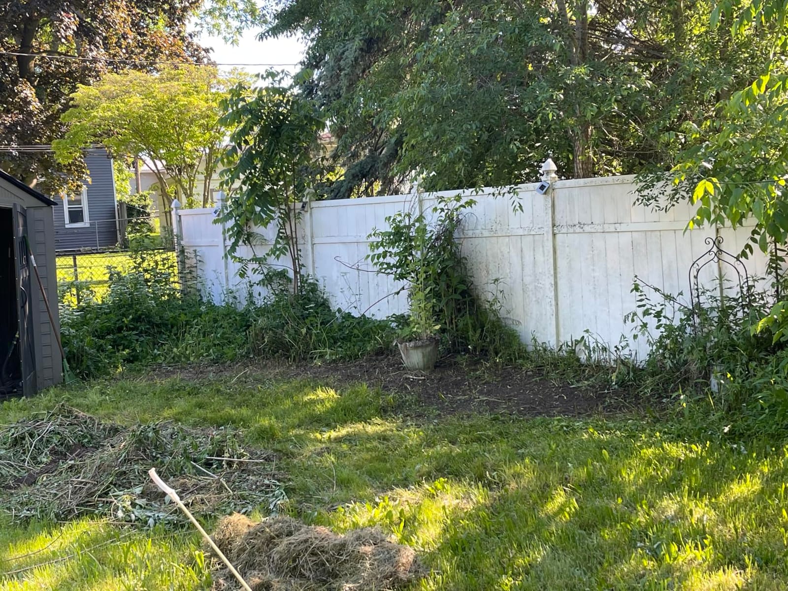WORKPRO 7.2V Cordless Grass Shear & Shrubbery Trimmer customer photo 2