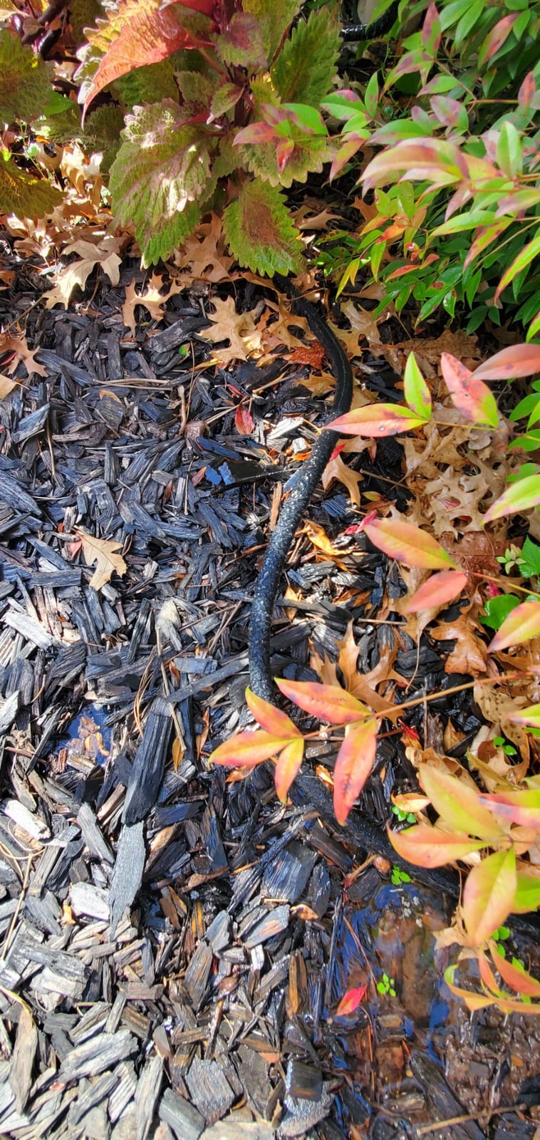 STYDDI Soaker Hose, 1/2