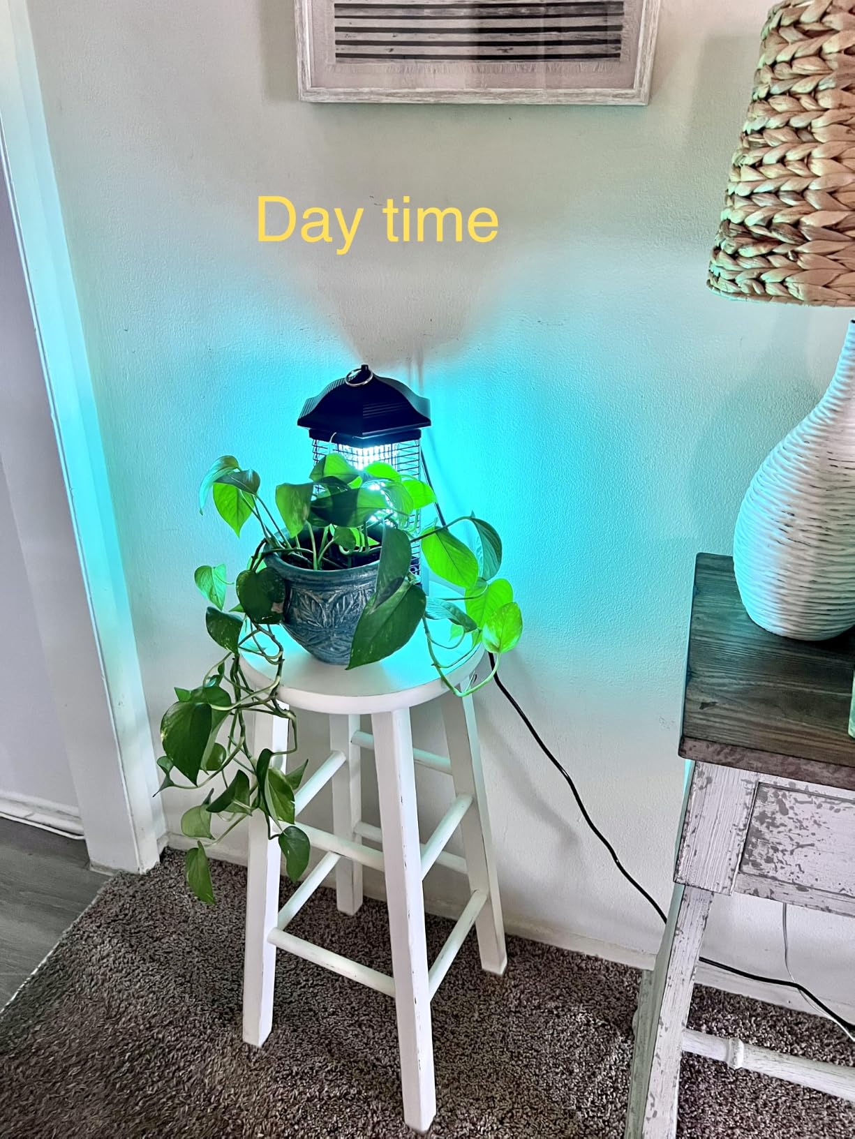 AMUFER Bug Zapper Outdoor & Indoor, 18W & 4400V, 1/2 Acre, 5.5-Ft Cord customer photo 2