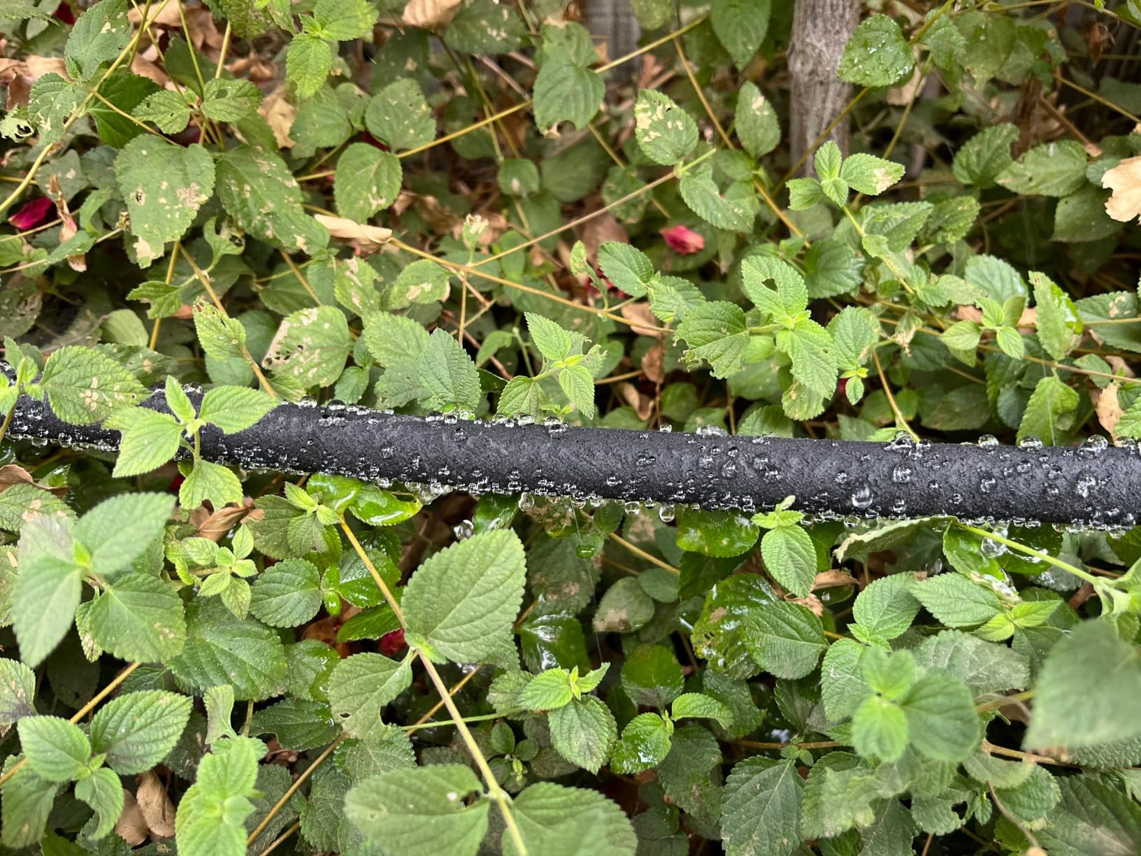 1/2’’ Soaker Hose 100 ft for Garden Beds, Heavy Duty Soaker Hoses with Kits for Water Saving, Rubber Garden Watering Hose 100 Foot Drip Irrigation Hose System (100 feet) customer photo 2