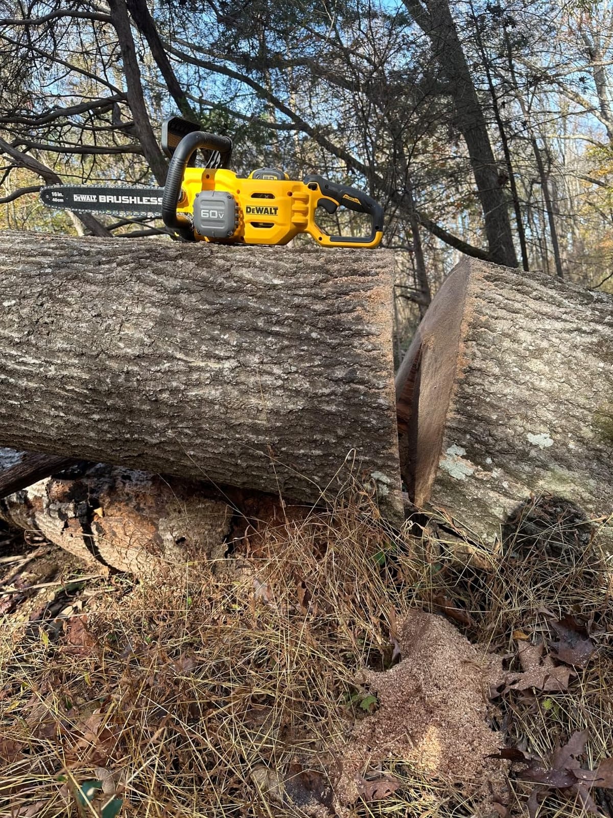 Dewalt Saw Chain BRUSHLESS Bare 18IN DCCS672B customer photo 2