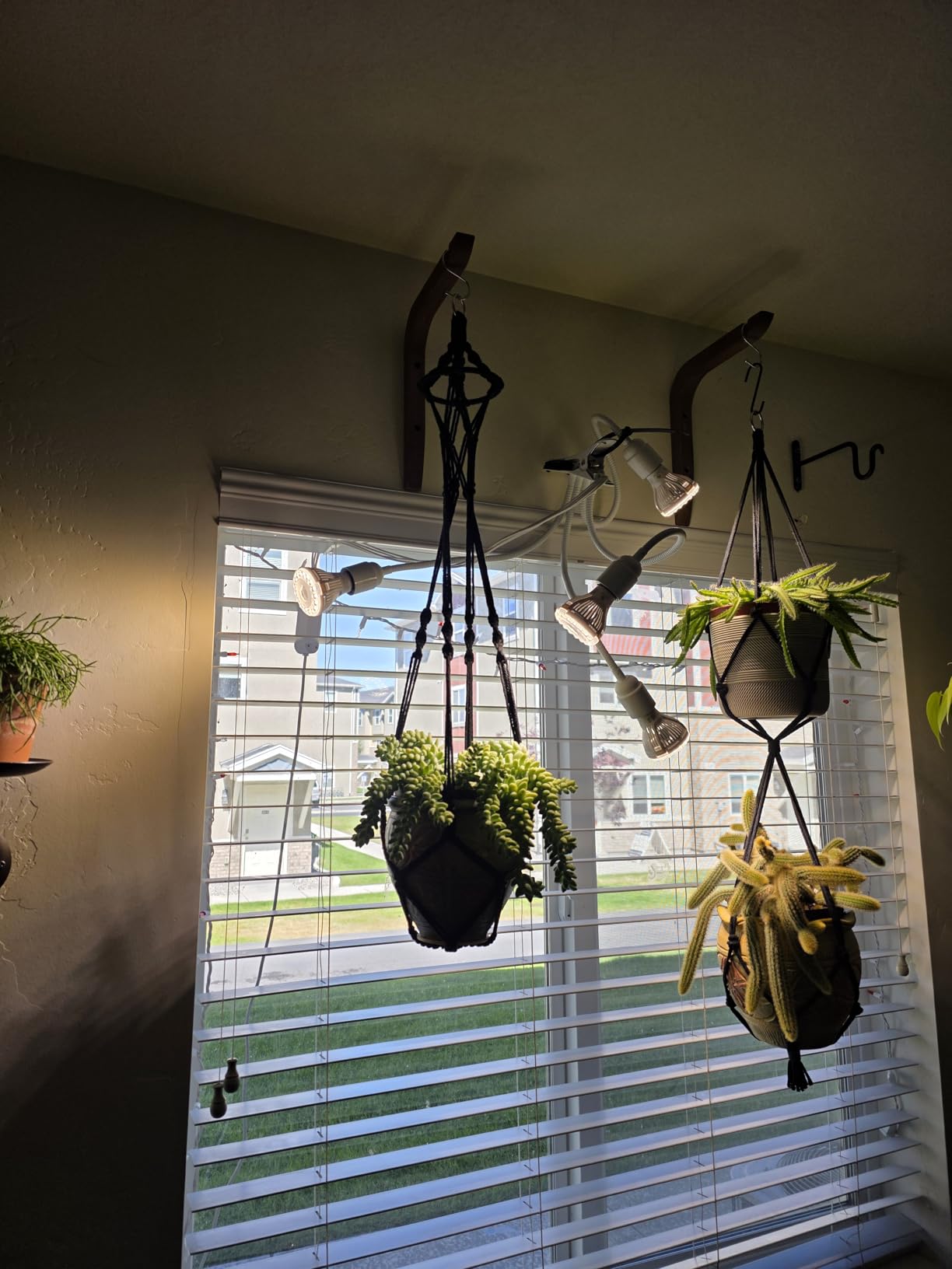 SANSI Grow Lights for Indoor Plants, 20W Clip-On Gooseneck LED Plant Lights customer photo 1