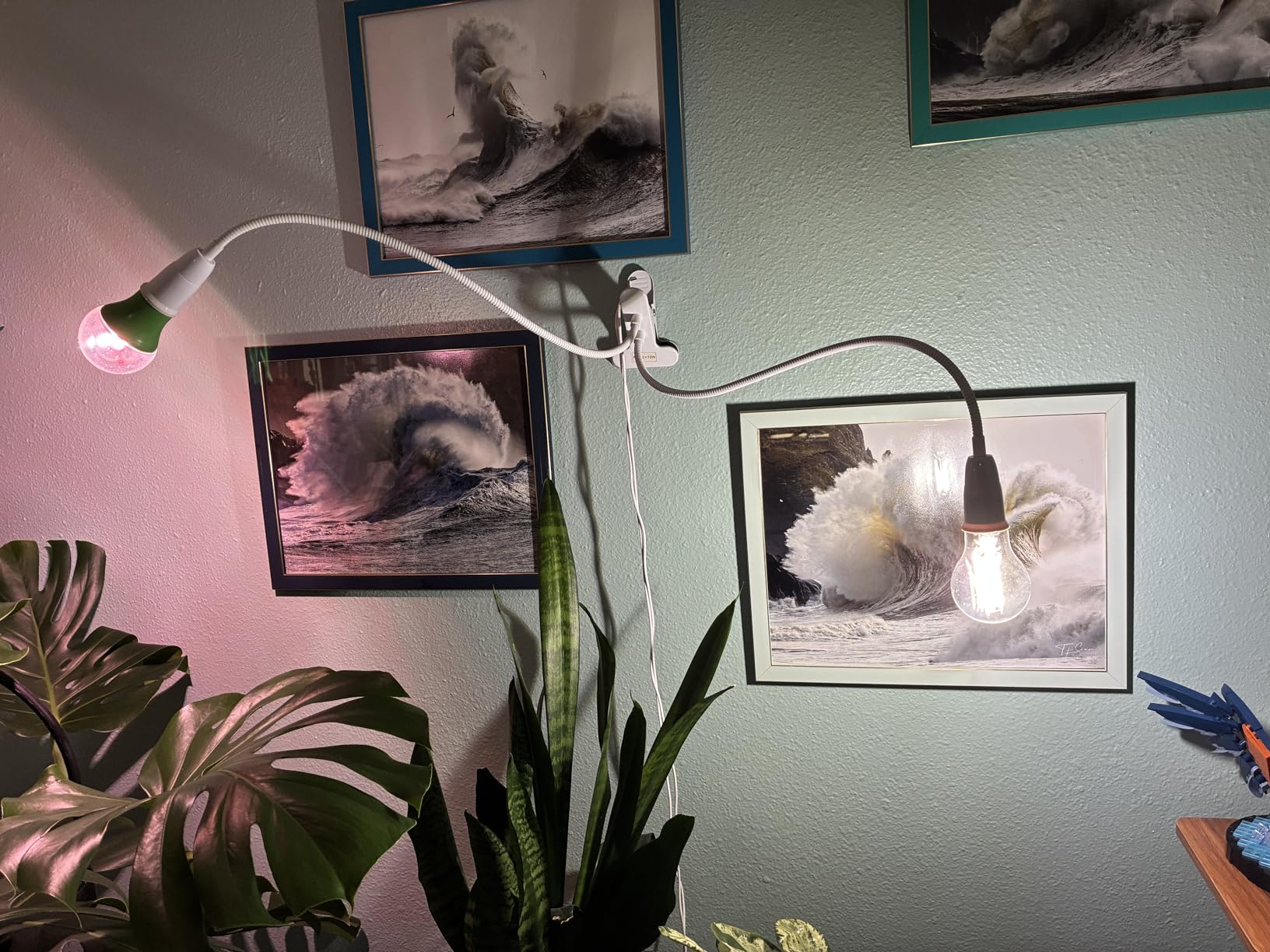 SANSI Grow Lights for Indoor Plants, 20W Clip-On Gooseneck LED Plant Lights customer photo 2