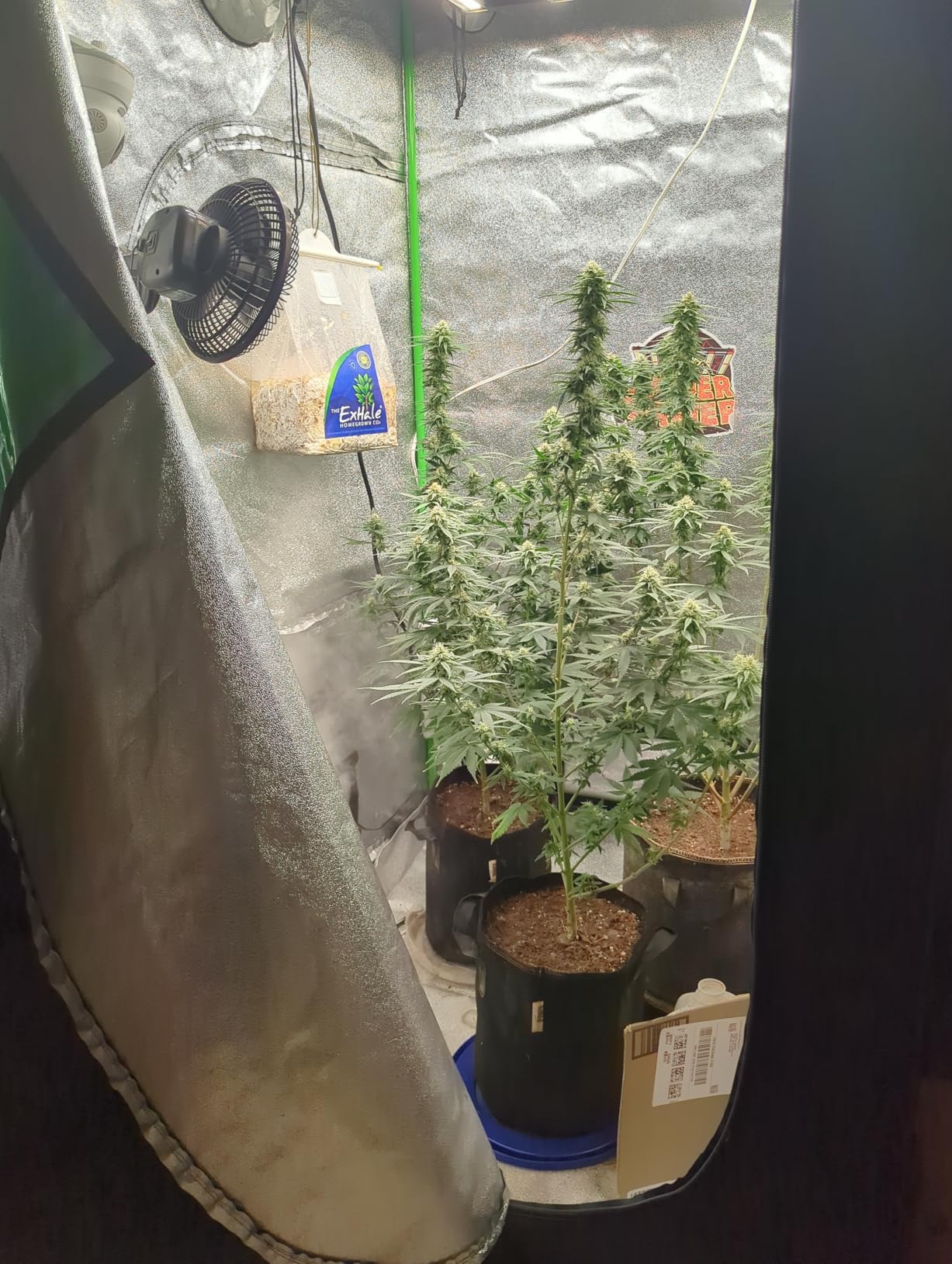 Spider Farmer 2x2x6 Grow Tent 24