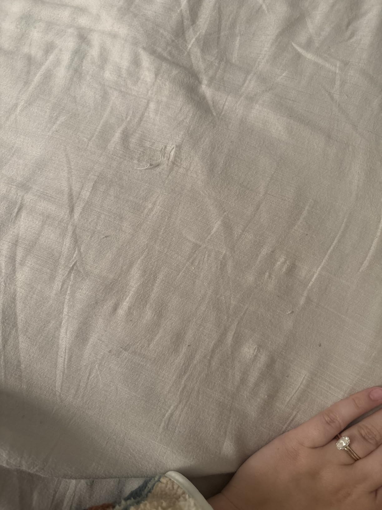DOZ Sheet Set, 100% Viscose derived from Bamboo, Organically Grown, Buttery Soft, Cooling Sheets, High GSM, Deep Pockets - 3 Piece - 2 Pillowcases 1 Fitted Sheet (Forest, Queen) customer photo 1