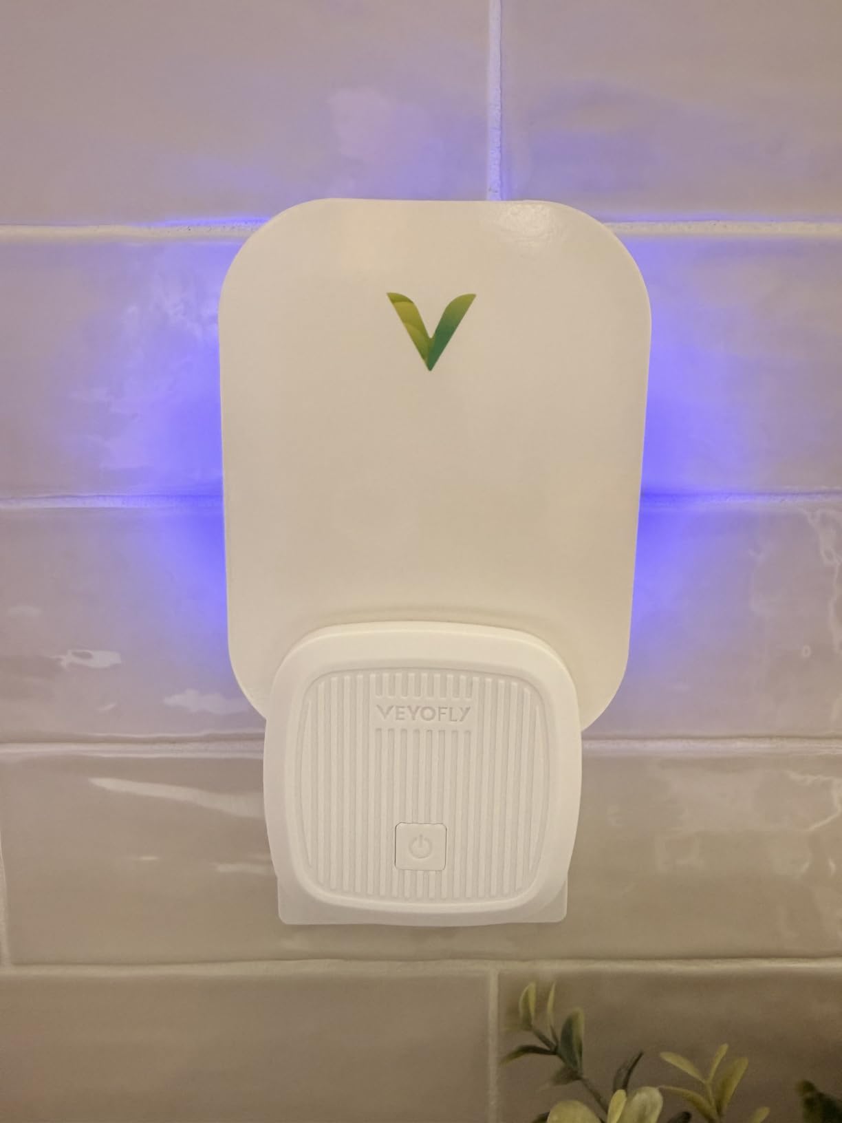 VEYOFLY Fruit Fly Traps Indoor Plug-in UV, Gnat Trap, 2 Device + 4 Refills customer photo 2